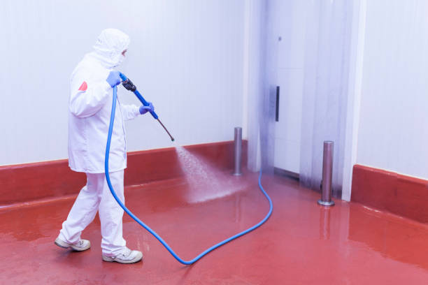 Best Rust Removal  in Franklin, TX