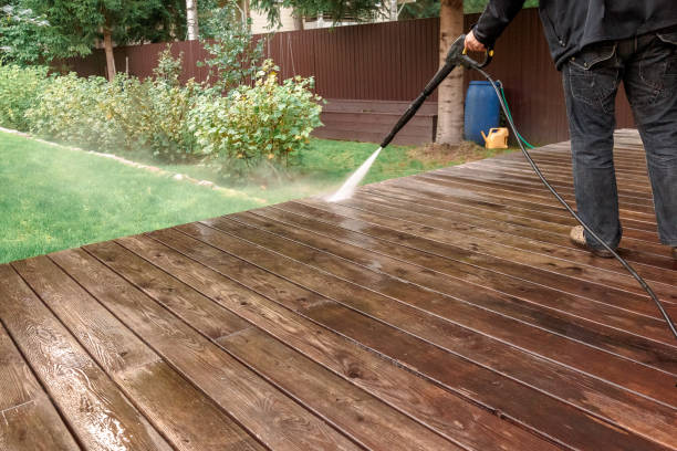 Best Solar Panel Cleaning  in Franklin, TX